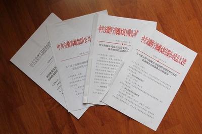 專業翻譯公司計算機技術開發領域文件翻譯流程